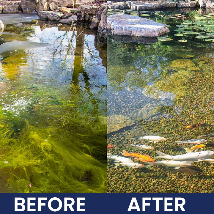 LIMETOW® Aqua-Guardian Pro Formula