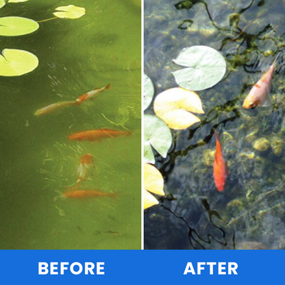 LIMETOW® Magic Purifying Powder
