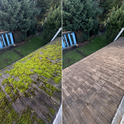 LIMETOW® Moss Remover
