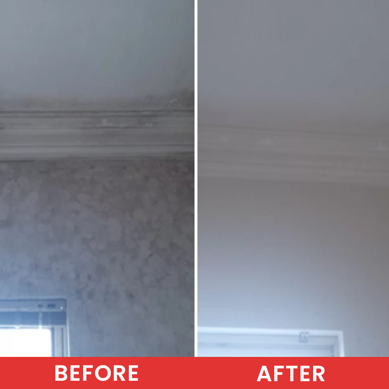 LIMETOW® Highly Effective Mould Removal Spray