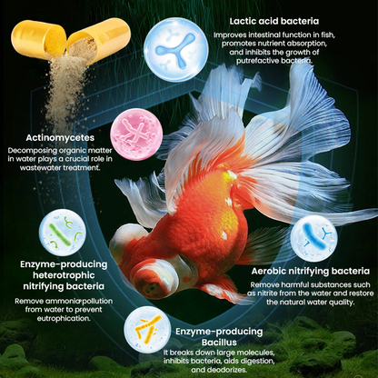 LIMETOW® Nitrifying Bacteria Powder Capsules