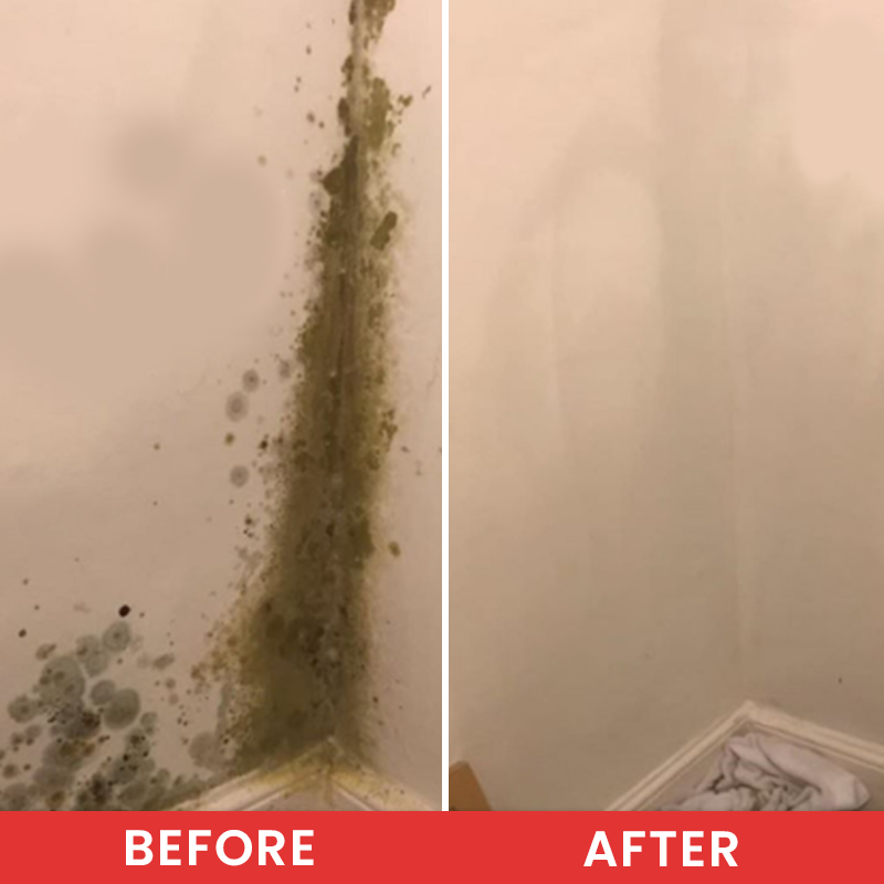 LIMETOW® Highly Effective Mould Removal Spray