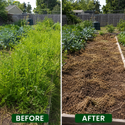 LIMETOW® Hexazinone Herbicide Solution