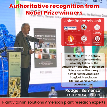 LIMETOW® Phytovitamin Solution