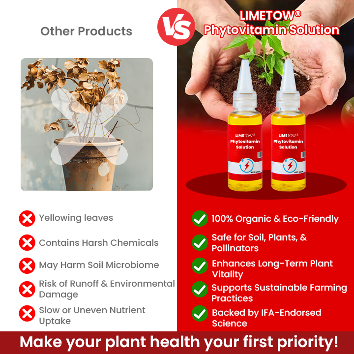 LIMETOW® Phytovitamin Solution