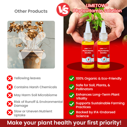 LIMETOW® Phytovitamin Solution