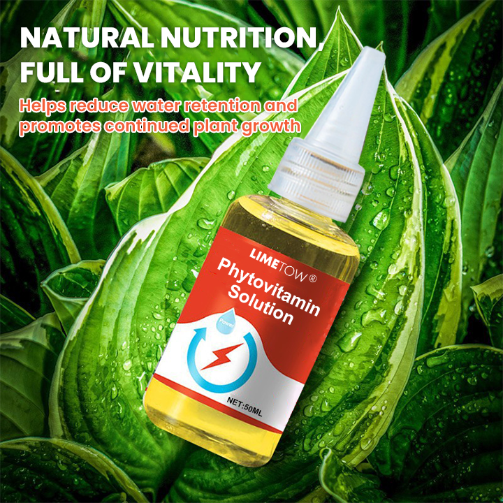 LIMETOW® Phytovitamin Solution
