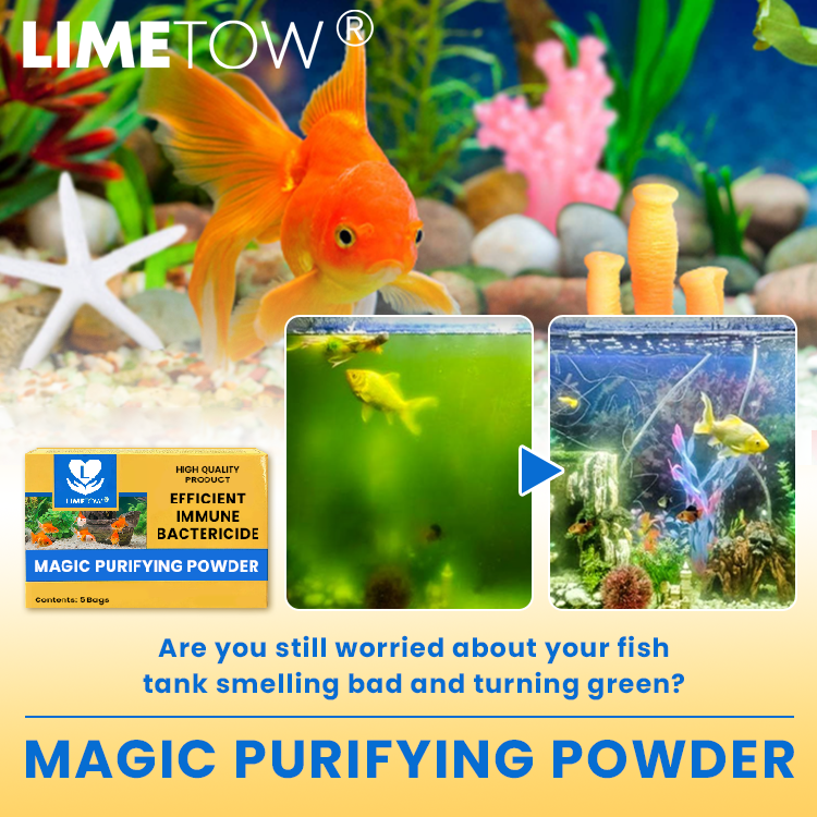LIMETOW® Magic Purifying Powder