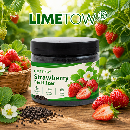 LIMETOW® Strawberry Fertilizer
