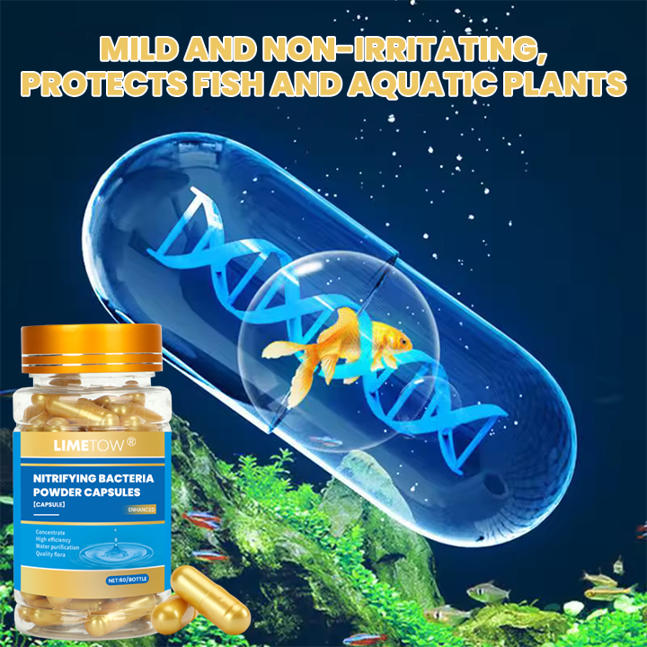 LIMETOW® Nitrifying Bacteria Powder Capsules