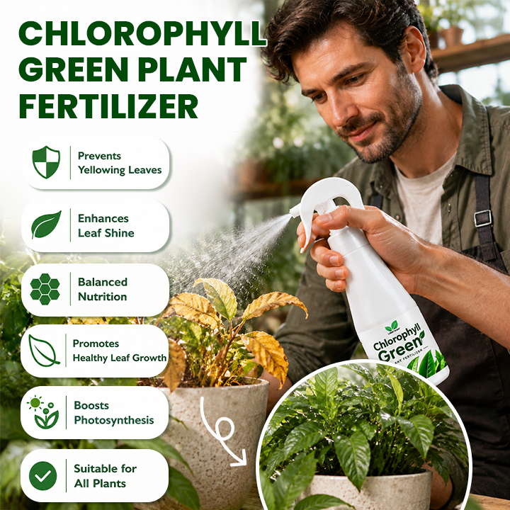 LIMETOW® Chlorophyll Green Plant Fertilizer