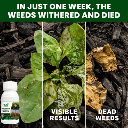 LIMETOW® Hexazinone Herbicide Solution