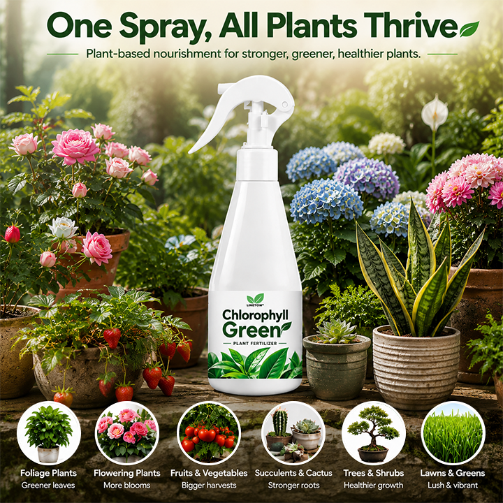 LIMETOW® Chlorophyll Green Plant Fertilizer