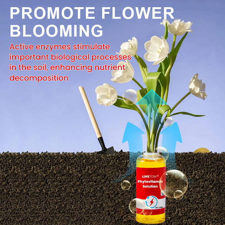 LIMETOW® Phytovitamin Solution