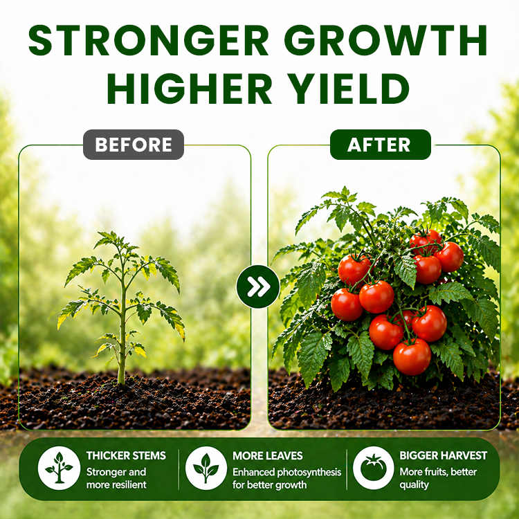 LIMETOW® Organic Vegetable-Specific Fertilizer