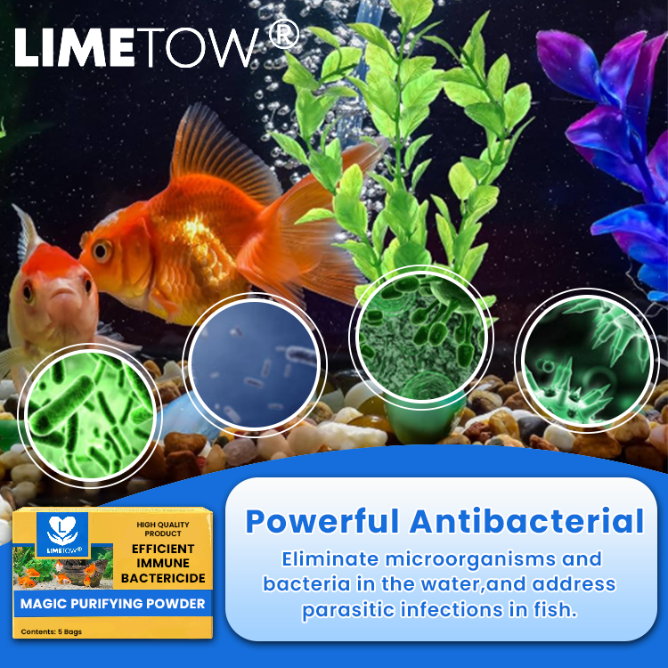LIMETOW® Magic Purifying Powder