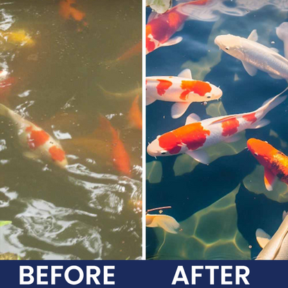 LIMETOW® Aqua-Guardian Pro Formula