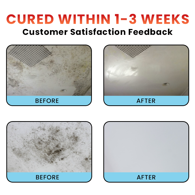 LIMETOW® Highly Effective Mould Removal Spray