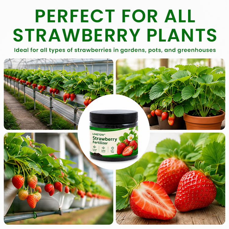 LIMETOW® Strawberry Fertilizer
