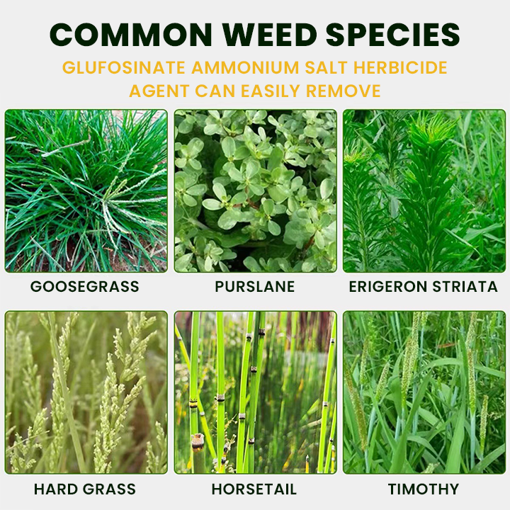 LIMETOW® Glufosinate Ammonium Salt Herbicide Agent