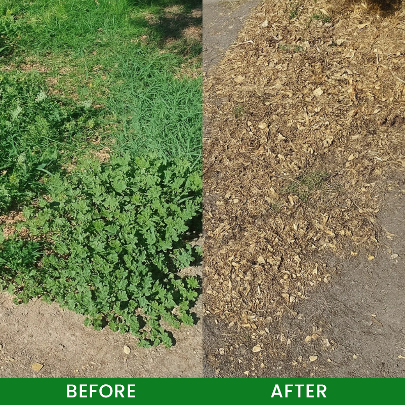 LIMETOW® Weed Remover