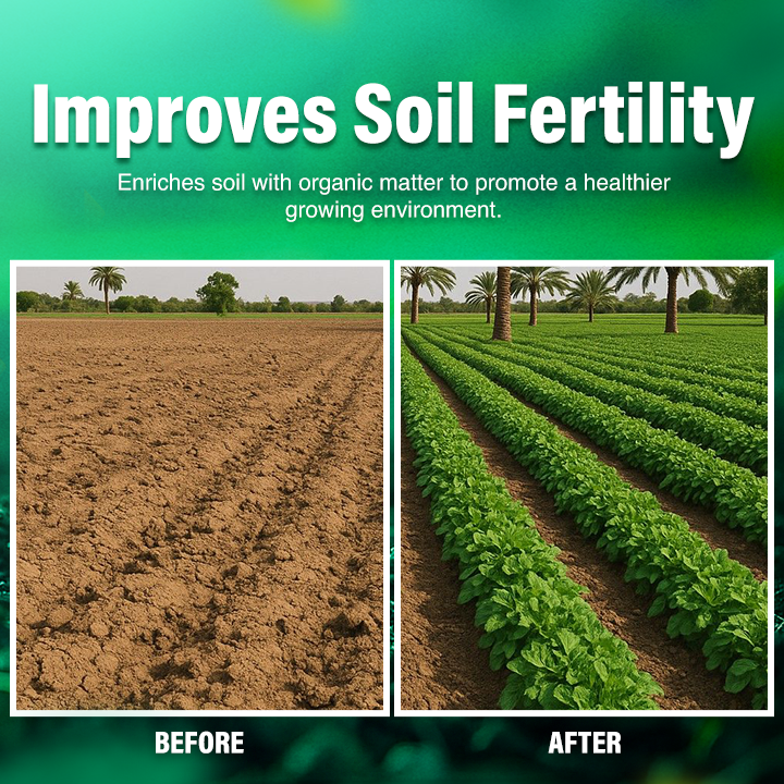 LIMETOW® Fermented Soybean Meal Organic Fertilizer