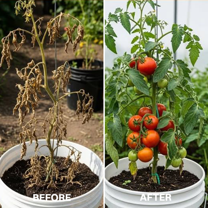 LIMETOW® Powerful Rooting Powder