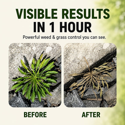 🌿 Fast-Acting Natural Weed & Grass Killer Spray