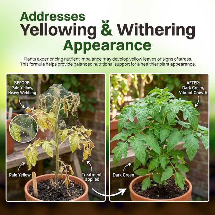 LIMETOW® Powerful Rooting Powder
