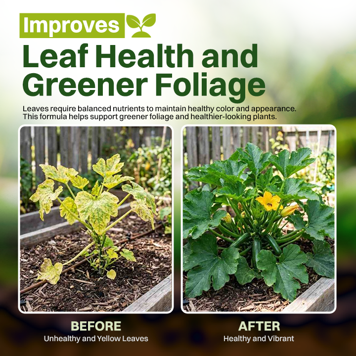 LIMETOW® Powerful Rooting Powder