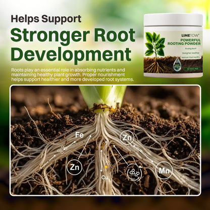 LIMETOW® Powerful Rooting Powder