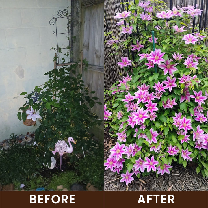 LIMETOW® Soil Activator