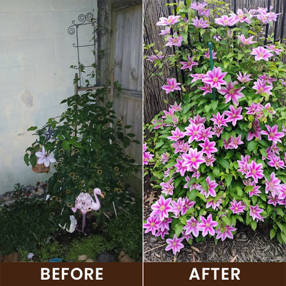 LIMETOW® Soil Activator