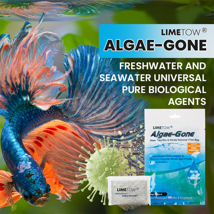 LIMETOW® Algae-Gone