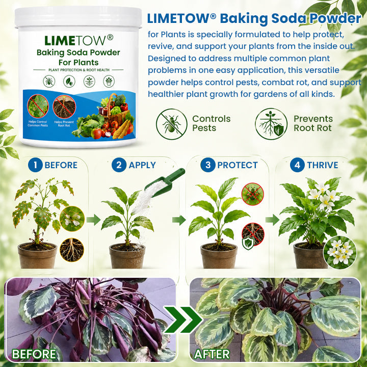 LIMETOW® Baking Soda Powder for Plants