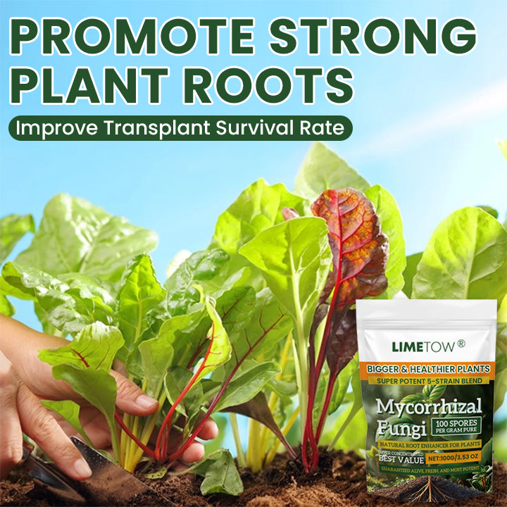 LIMETOW® Plant Root Nutrient Powder