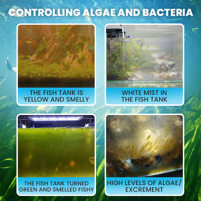LIMETOW® Algae-Gone