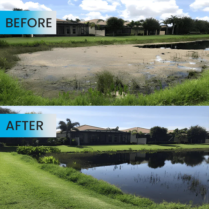 LIMETOW® Algae-Gone