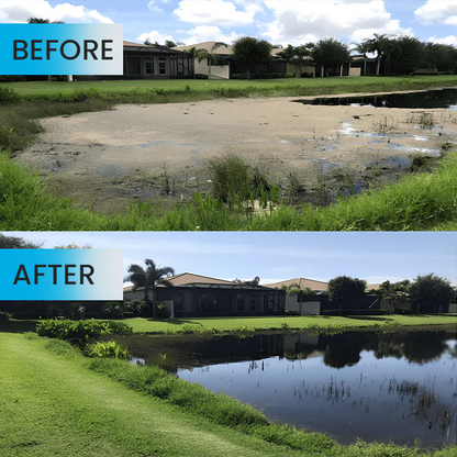 LIMETOW® Algae-Gone