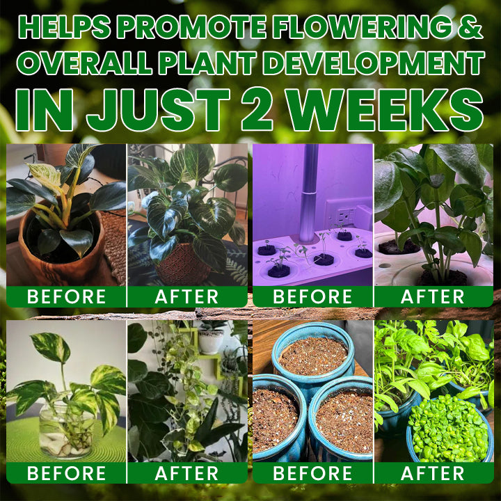 LIMETOW® Plant Nutrient Beads