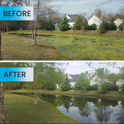 LIMETOW® Algae-Gone