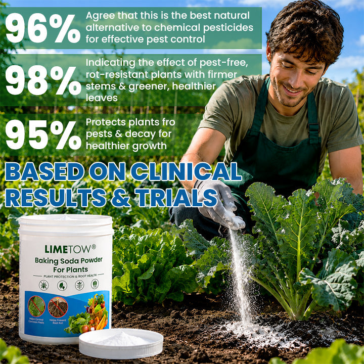 LIMETOW® Baking Soda Powder for Plants