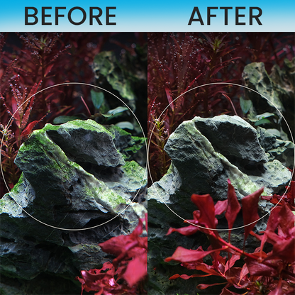 LIMETOW® Algae-Gone