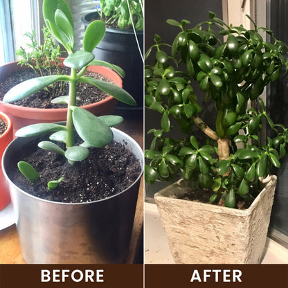 LIMETOW® Soil Activator